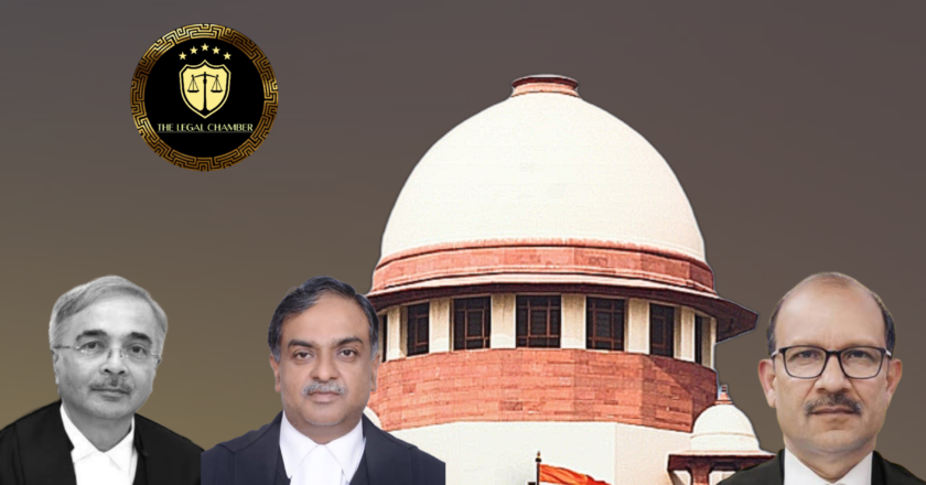 Supreme Court’s New Rule: Stray Dogs Can Be Returned to Streets After Sterilization