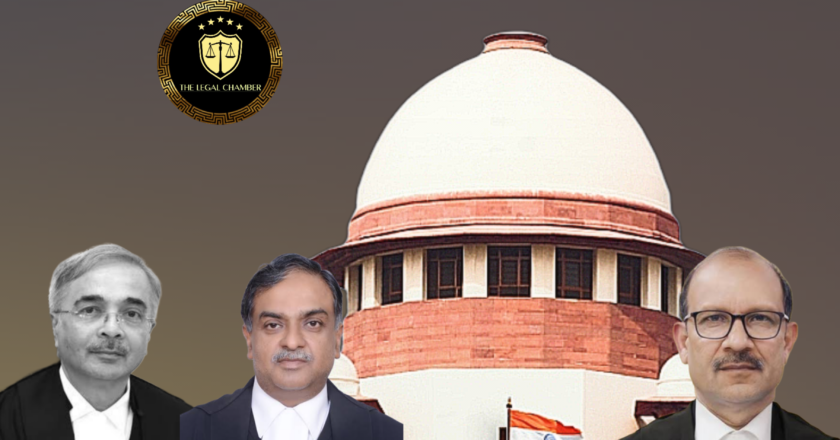 From Highways to Hospitals: Supreme Court’s Nationwide Plan to Tackle Stray Animals